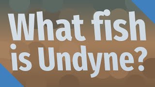 What fish is Undyne?