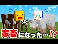 【幸せな家畜生活…だった…⁉️】マイクラでヒツジとウシとウマとして生きるサバイバル生活は大変だった😱恐怖の村人が居る農場から脱獄しようとした結果！？【まいくら マインクラフト】ぽっぴんず