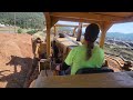 classic caterpillar d9g working on the steep side of a shavings pile.