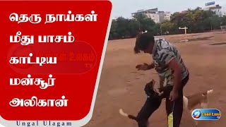 தெரு நாய்கள் மீது பாசம் காட்டிய மன்சூர் அலிகான் | Mansoor Ali Khan - UngalUlagam