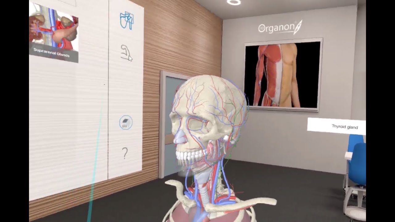 Virtual Reality In Human Anatomy Course - YouTube