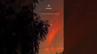 TAWAKKUL | SOULFUL RECITATION | #shortsviral #ytshorts #shorts #jummamubarak