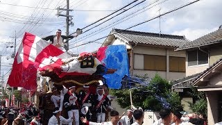 令和元年10月20日　東大阪弥栄地区だんじり　午後曳行