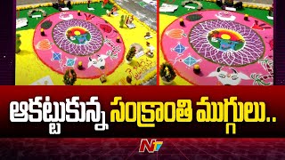 Sankranti Vibes in Krishna District | Sankranti Muggulu | Ntv