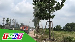 Bình Dương: Đã phun thuốc diệt hàng ngàn con sâu sau phản ánh | THDT