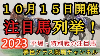 【注目馬列挙・平場予想】2023年10月15日JRA平場特別戦！信越ステークスはこの馬の巻き返しに期待！3場共に雨との戦いに？