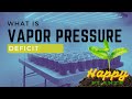 Unlock Bigger Yields: Master VAPOR PRESSURE DEFICIT / VPD  for Indoor Growing with AC Infinity Gear