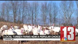 Canaan farm among local turkey farms growing in popularity