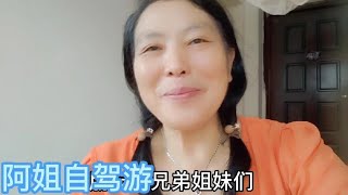 准备结伴自驾游，新伙伴提前到来，是为了看望大姐