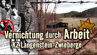 Harz unterm Hakenkreuz | KZ Langenstein-Zwieberge 1944-1945 | 80 Jahre nach der Befreiung | Doku