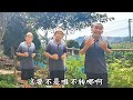 民间山歌 花鼓子 山歌热门推送 民间小调