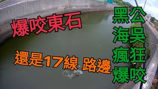 瞎趴 蝦竿 前打 阿波 嘉義釣點 東石濱海17線 路邊系列 黑公 海吳 這不叫爆咬 什麼才算爆咬