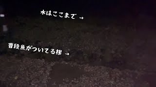 三河湾の釣れない方程式は(超低潮位)+(流れなし)だと思うんだ。(2023.2.3の三河湾の釣果)