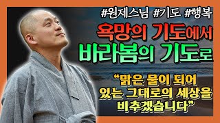 대상을 바라는 욕망의 기도, 대상을 그저 바라보는 기도 [원제스님의 기도]