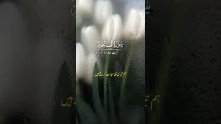 Surah Al-Fateha ayat 1-5 Urdu translation |World of reverbs  #quranicvibes