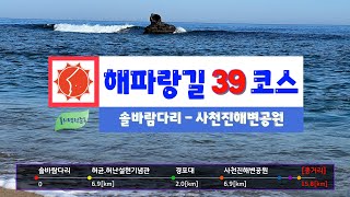 4K 해파랑길 39코스 남항진항 솔바람다리에서 경포호 사천진해변까지 영상