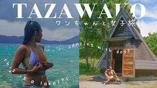 TAZAWAKO GIRLS ＆ DOG CAMPING TRIP VLOG: You Won't Believe this is a Lake! 田沢湖わんちゃん連れて女子旅行！湖だけど沖縄みたい！