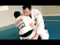 caio terra s butterfly guard sweep to mount