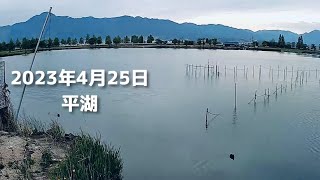 2023年4月25日朝【滋賀県・平湖定点観測】