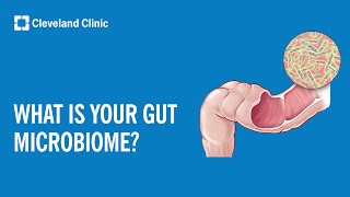 What Is Your Gut Microbiome?