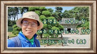 [숲톡톡]  큰나무 탐방  - 신륵사 편(24년 9월 7일)