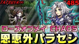 【DFFOO#485】ローズオブメイCHAOSにパラセシ連れてった奴！恩恵外でどうなんだってね…にしても全体多すぎ←【オペラオムニア】