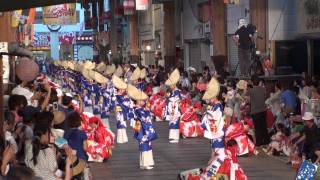 十人十彩・その１　～2013高知よさこい祭り・本祭１日目(はりまや橋競演場)