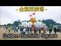 #金紫荊廣場; Golden Bauhinia Square - Wanchai HK