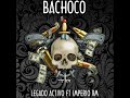 el bachoco