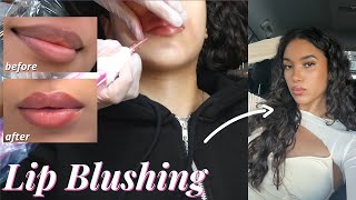 LIP BLUSHING TATOO || full process, healed results & everything you need to know 💕 👄