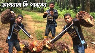 নতুন সময় কি পারবেন | বেতন 80000 |  বিস্তারিত পাম বাগানের কাজ