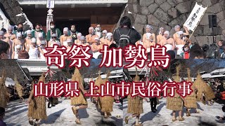 山形県上山市民俗行事　加勢鳥AX-45版　folk event  strange festival　#加勢鳥 #上山市民俗行事　#奇祭　##加勢鳥2023