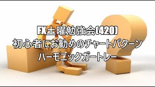 FX土曜勉強会(420)初心者にお勧めのチャートパターン　ハーモニックガートレー