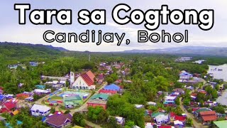 Where is Cogtong in Candijay, Bohol