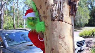 The Grinch causes chaos at the Australian Reptile Park