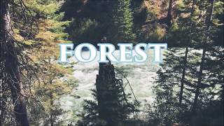 Psychonaut 4 - Personal Forest (Lyrics Video)