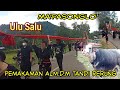 Ma'Pasonglo'||Rambu solo' pemakaman alm.DM.Tandi Rerung di Ulu salu||Pemakaman termahal