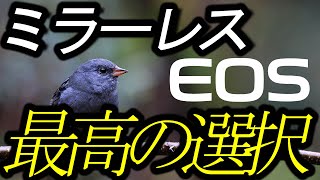 2023年版、最強カメラの選択。最高の１台をあなたへ・・・