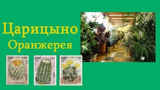 Царицыно  Оранжерея