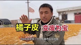 农民不要的橘子皮成为珍贵原料，做成陈皮身价涨40倍，老板乐开了花