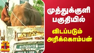 முத்துக்குளி பகுதியில் விடப்படும் அரிக்கொம்பன் | Arikomban