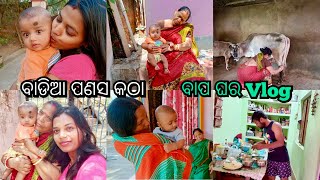 ବାପ ଘର Vlog | ବାଡିଆ ପଣସ  #odiajhiarani