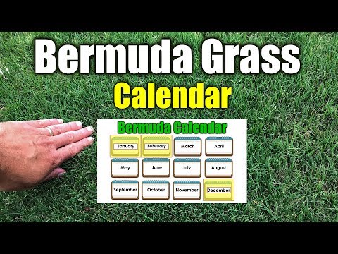 Bermuda Grass Calendar Bermuda Grass Calendar