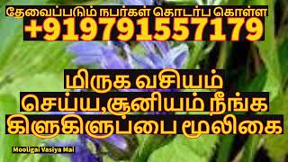 மிருக வசியம் செய்ய ,சூனியம் நீங்க| @mooligaivasiyamai  | தொடர்புகொள்ள 9791557179