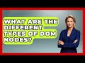 What Are The Different Types Of DOM Nodes? - JavaScript Toolkit