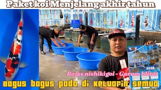 Koi bagus bagus pada di keluarin menjelang akhir tahun‼️Review harga koi di Bojas nishikigoi blitar