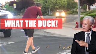 Navigating the Art of Duck Herding and Pedestrian Safety!