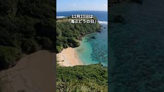 【沖縄】12月23日は『海ぶどうの日』　◇果報バンタ◇