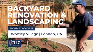 Backyard Renovation and Landscaping - Ep.5 - Plants + Softscaping - TLC Landscaping