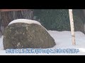 自然融雪屋根　2025 01 20